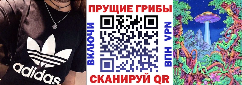 Галлюциногенные грибы Psilocybe  хочу   Сортавала 